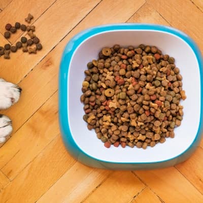 Pet Nutrition Planning