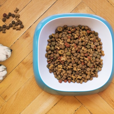 Pet Nutrition Planning